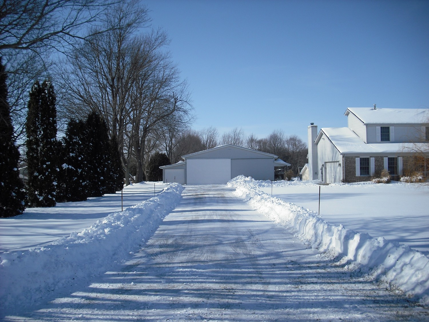 Snowed in Driveway