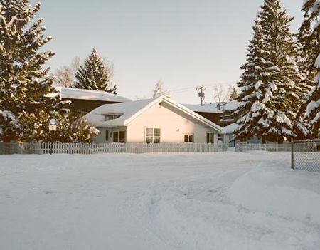 snow covered driveway
