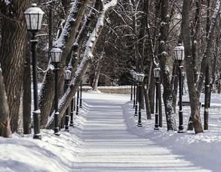 snow covered driveway

