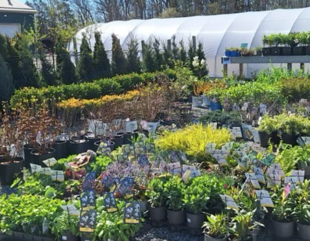 LAwns And more outside shop